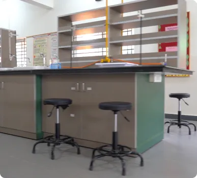 Shree Niketan Chennai 4